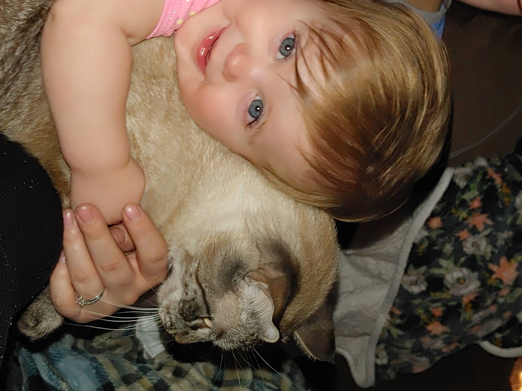 Ember is registered to the contest to win money with this photo: baby, cheek, dress, ear, eye, eyebrow, eyelash, fawn, felidae, finger, gesture, grass, happy, iris, joy, mammal, nail, nose, person, skin