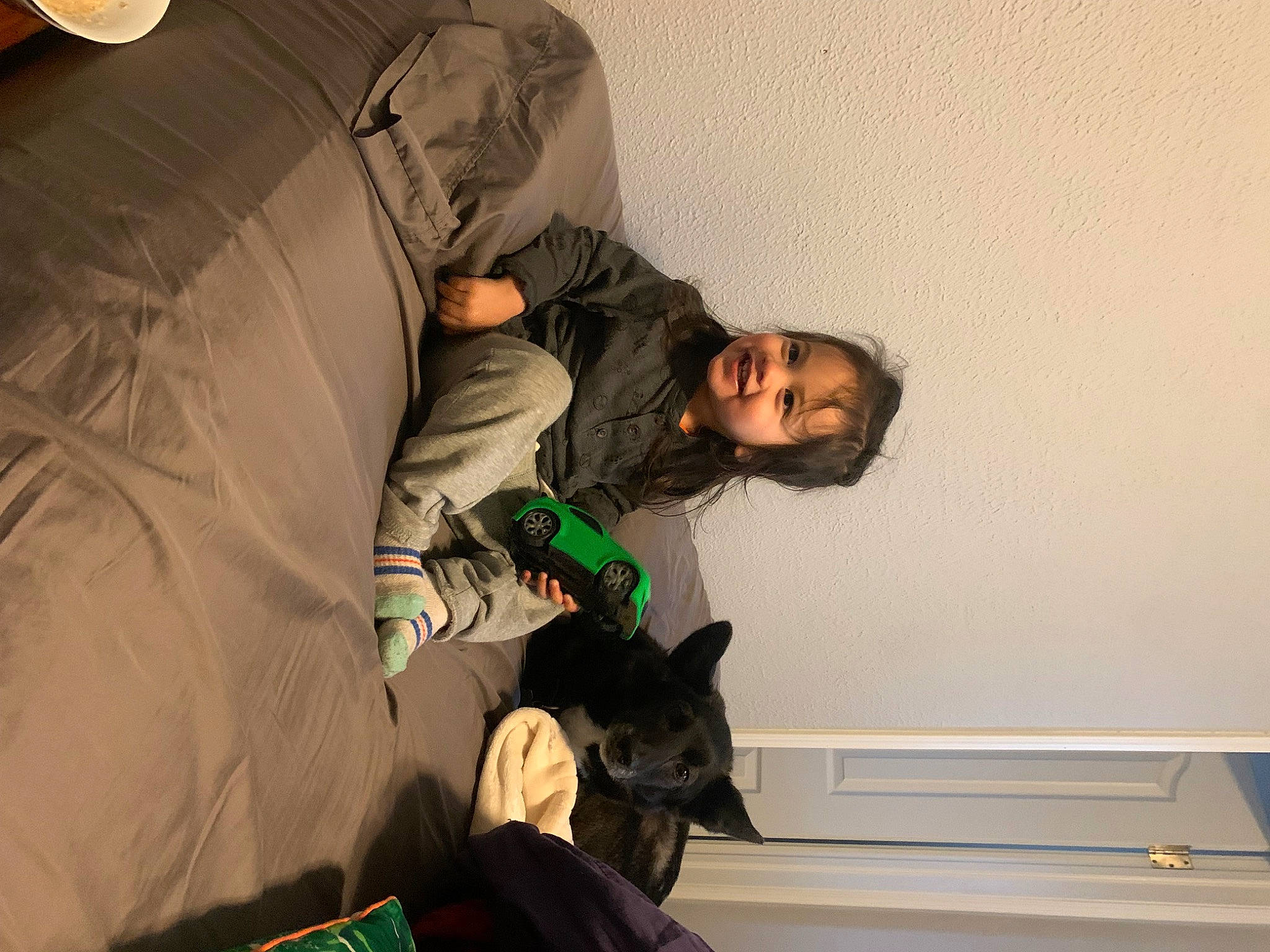 Felix joined the competition — help win amazing prizes! bag, comfort, companion_dog, felidae, fun, fur, joy, person, personal_protective_equipment, room, sitting, small_to_medium_sized_cats, smile
