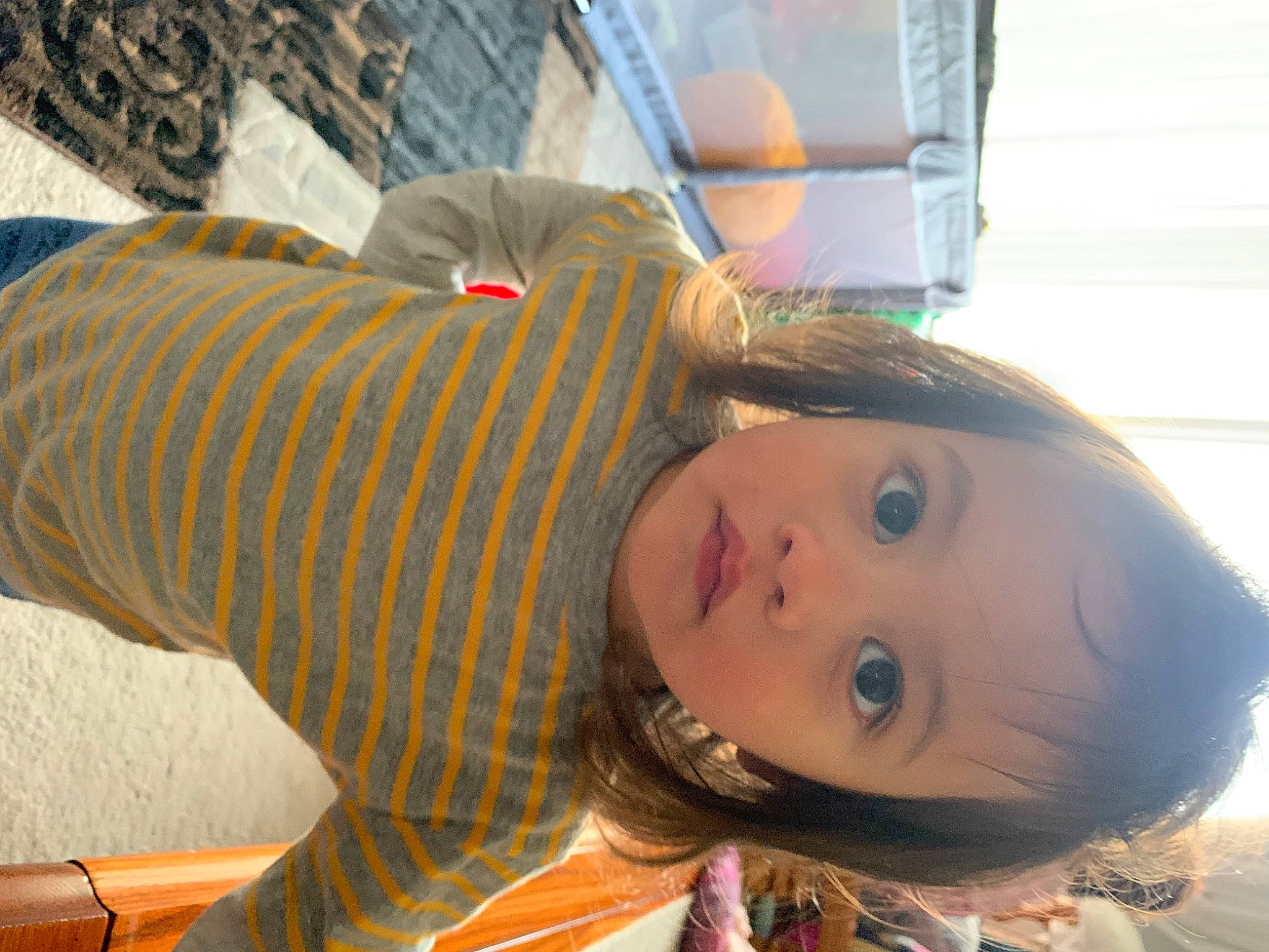 Felix is registered to the contest to win money with this photo: cheek, child, eyelash, fun, fur, happy, pattern, person, sitting, sleeve, toddler, vacation, winter, wood