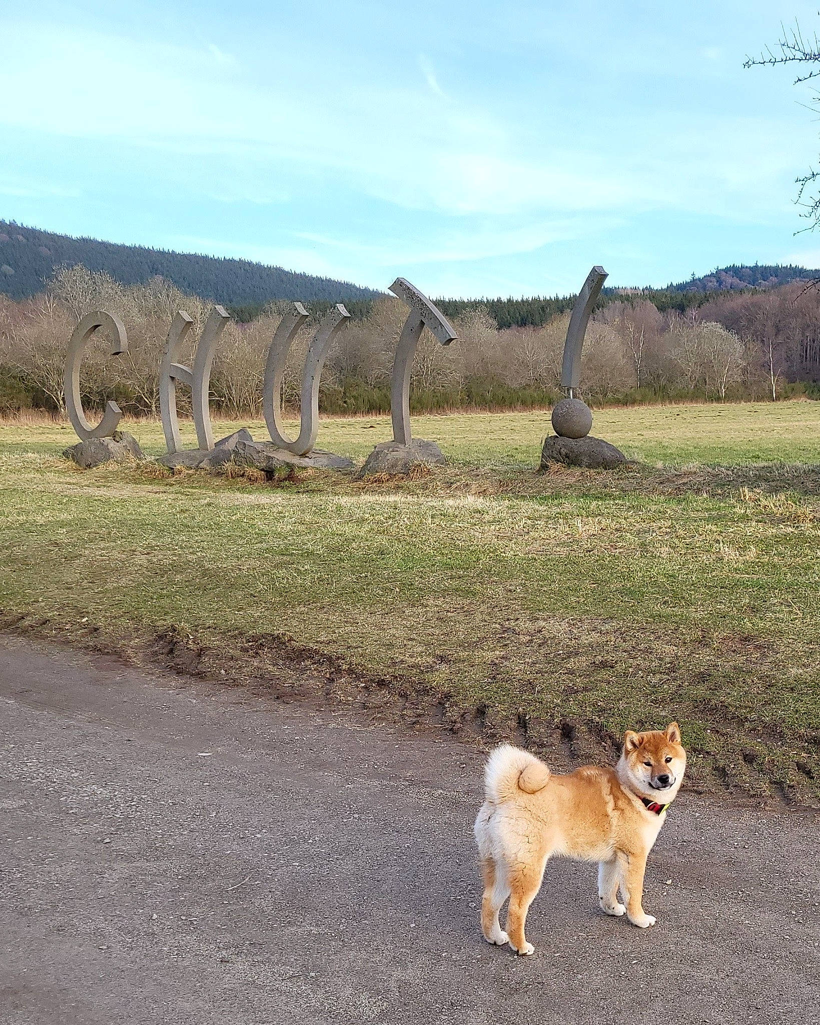 Tatsuo a rejoint le concours — aidez-le/la à gagner de superbes lots ! carnivore, cloud, companion_dog, dog, dog_breed, fawn, field, grass, grassland, landscape, natural_landscape, pasture, plant, prairie, sky, soil, steppe, tail, terrestrial_animal, tree
