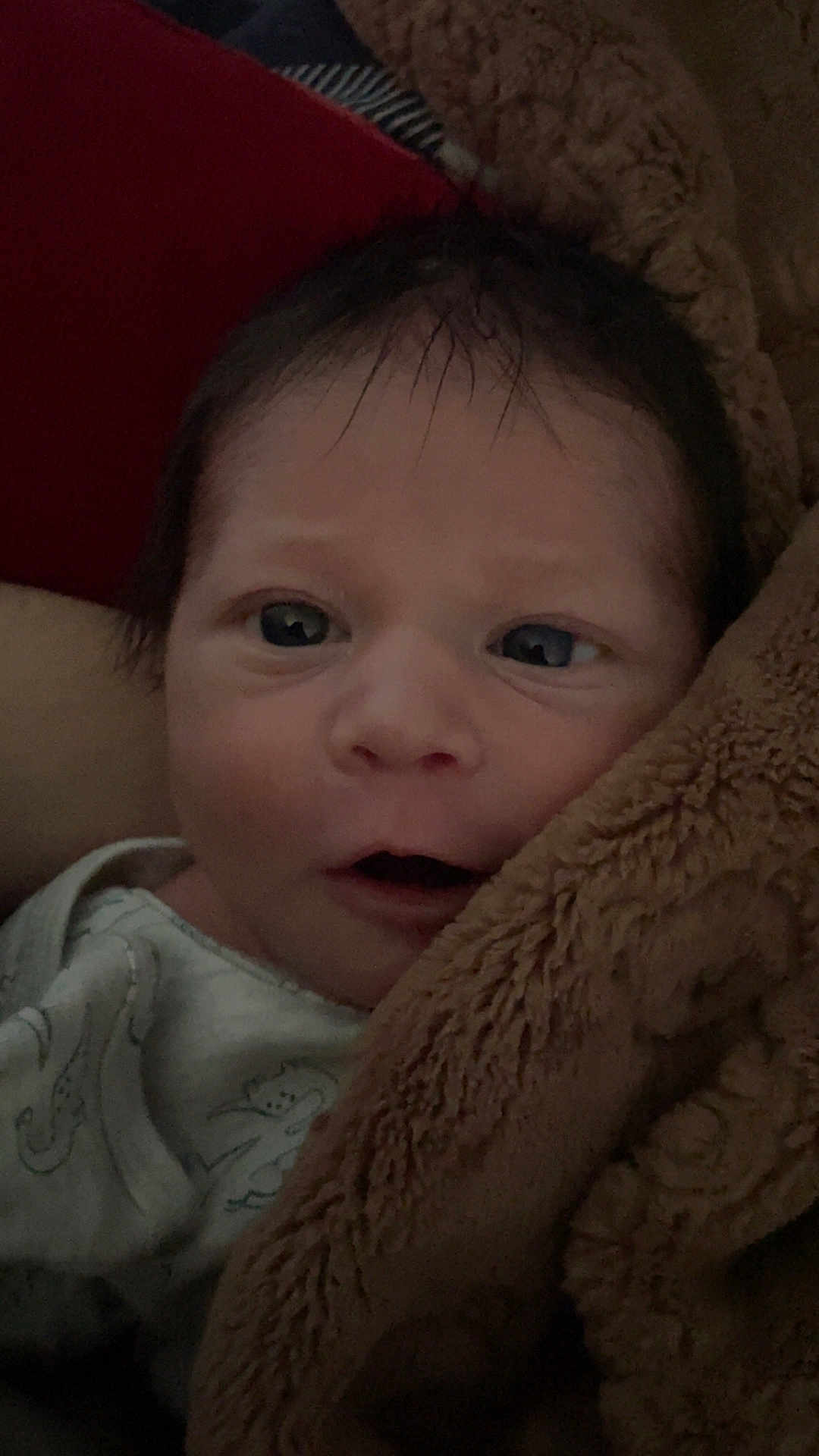 Samuel is registered to the contest to win money with this photo: baby, newborn, infant, face, eyes, blanket, onesie, close_up, portrait, cozy, brown_blanket, hair, mouth, nose, skin, indoors, bedding, sleepy, gaze, soft_texture