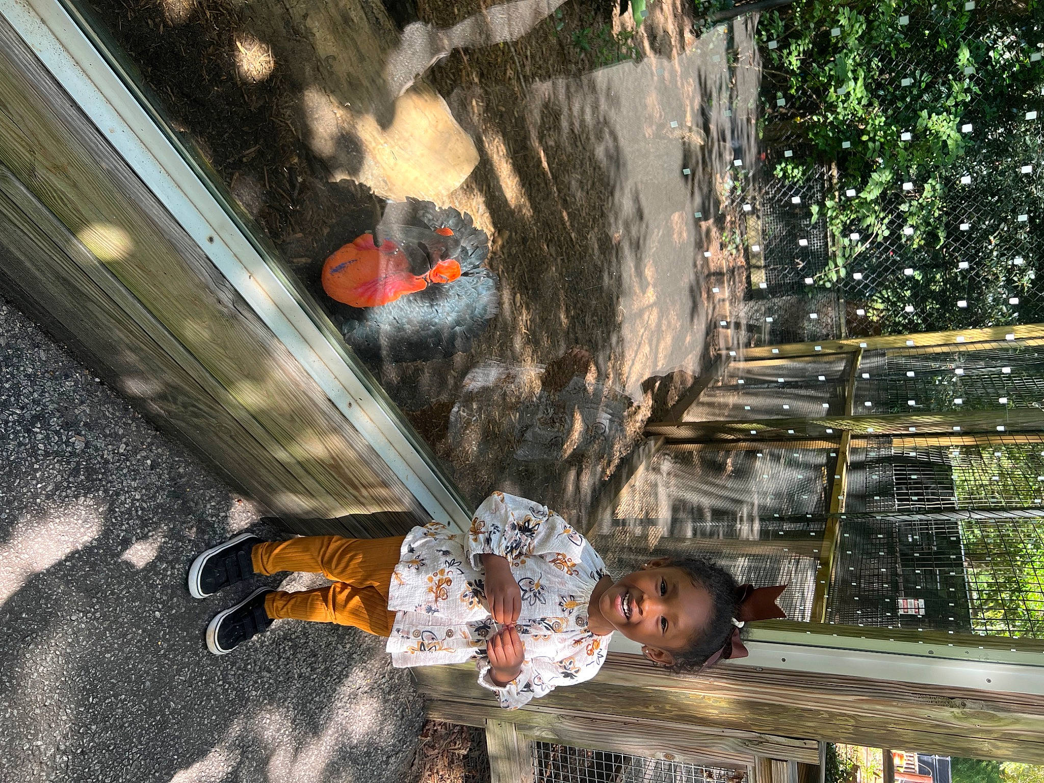 Zahra joined the competition — help win amazing prizes! asphalt, automotive_exterior, fun, glass, grass, leisure, pedestrian, person, plant, recreation, road, road_surface, shadow, sidewalk, street, toddler, tree, wood