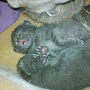 Pollyanna is registered to the contest to win money with this photo: