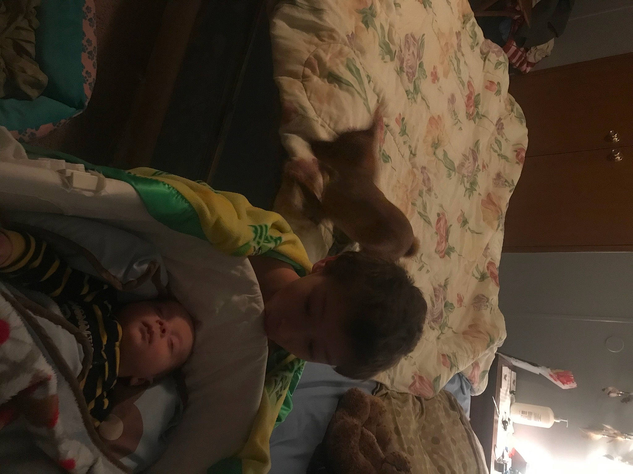 Larry joined the competition — help win amazing prizes! person, tree, under_exposed