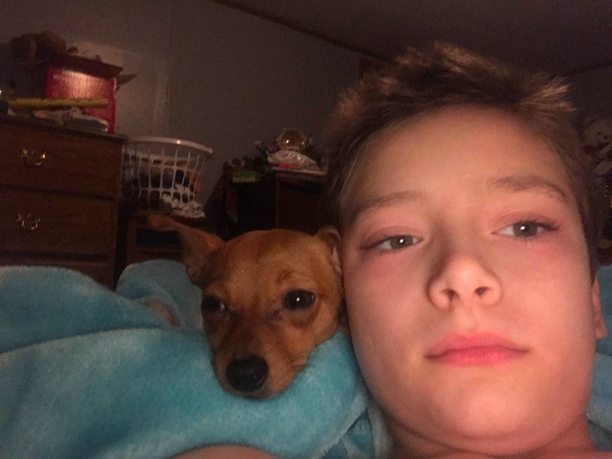 Larry is registered to the contest to win money with this photo: canidae, carnivore, child, companion_dog, dog, dog_breed, ear, eye, face, fawn, head, mammal, nose, person, puppy_love, selfie, snout