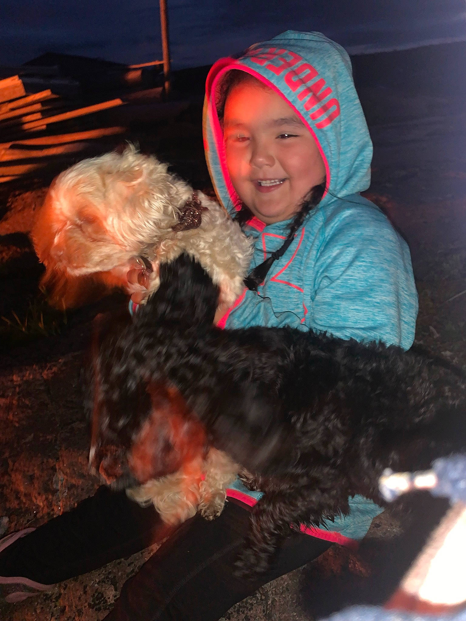 Skye is registered to the contest to win money with this photo: bench, canidae, carnivore, child, companion_dog, dog, dog_breed, fun, fur, fur_clothing, happy, hat, lap, mammal, sitting, smile, sporting_group, terrier, toy_dog, vertebrate