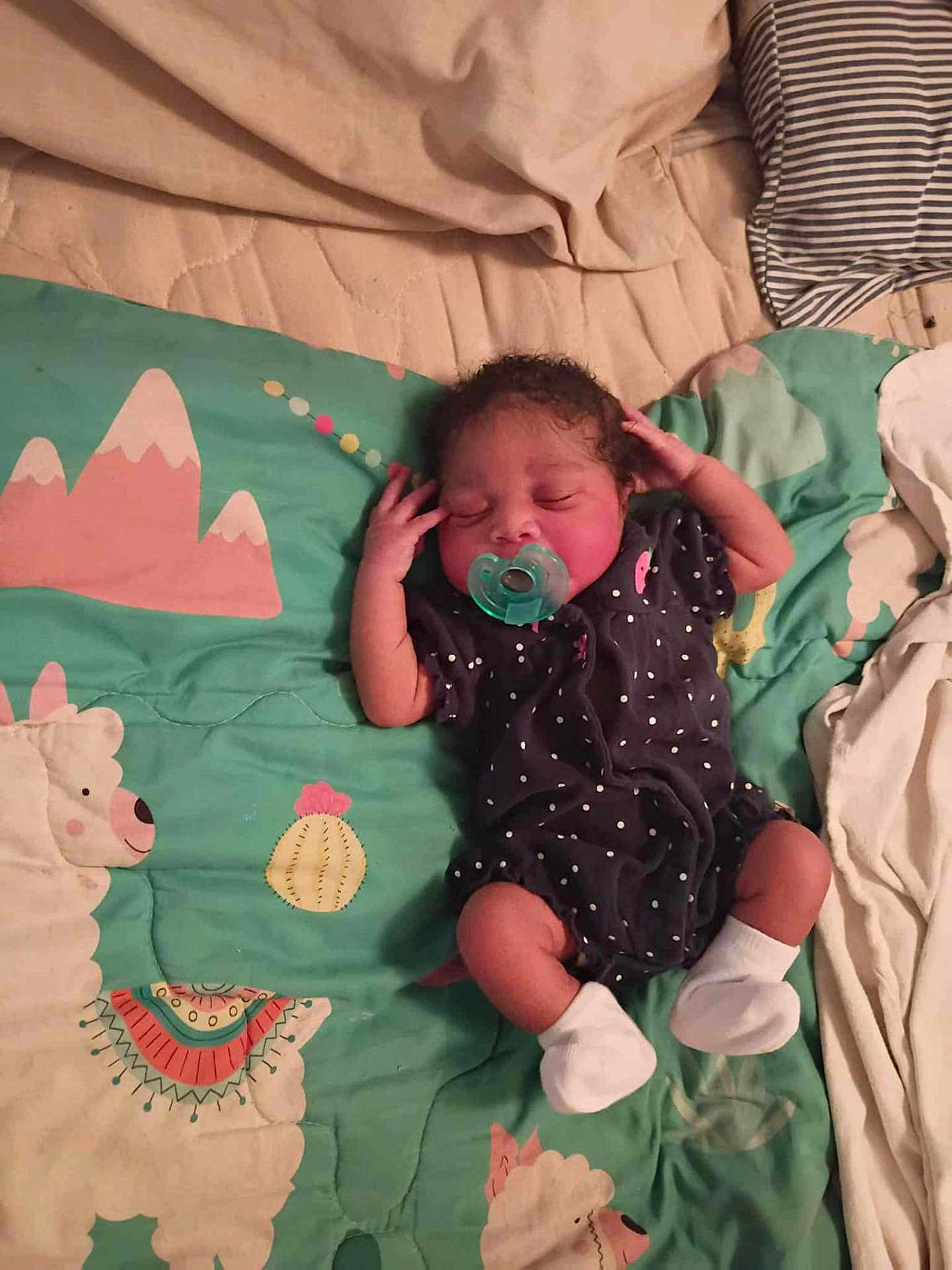 Aviana joined the competition — help win amazing prizes! newborn, baby, sleeping, pacifier, polka_dot, socks, quilt, blanket, llama, mountain, infant, child, cute, resting, indoors, soft, cozy, person, pattern, fabric