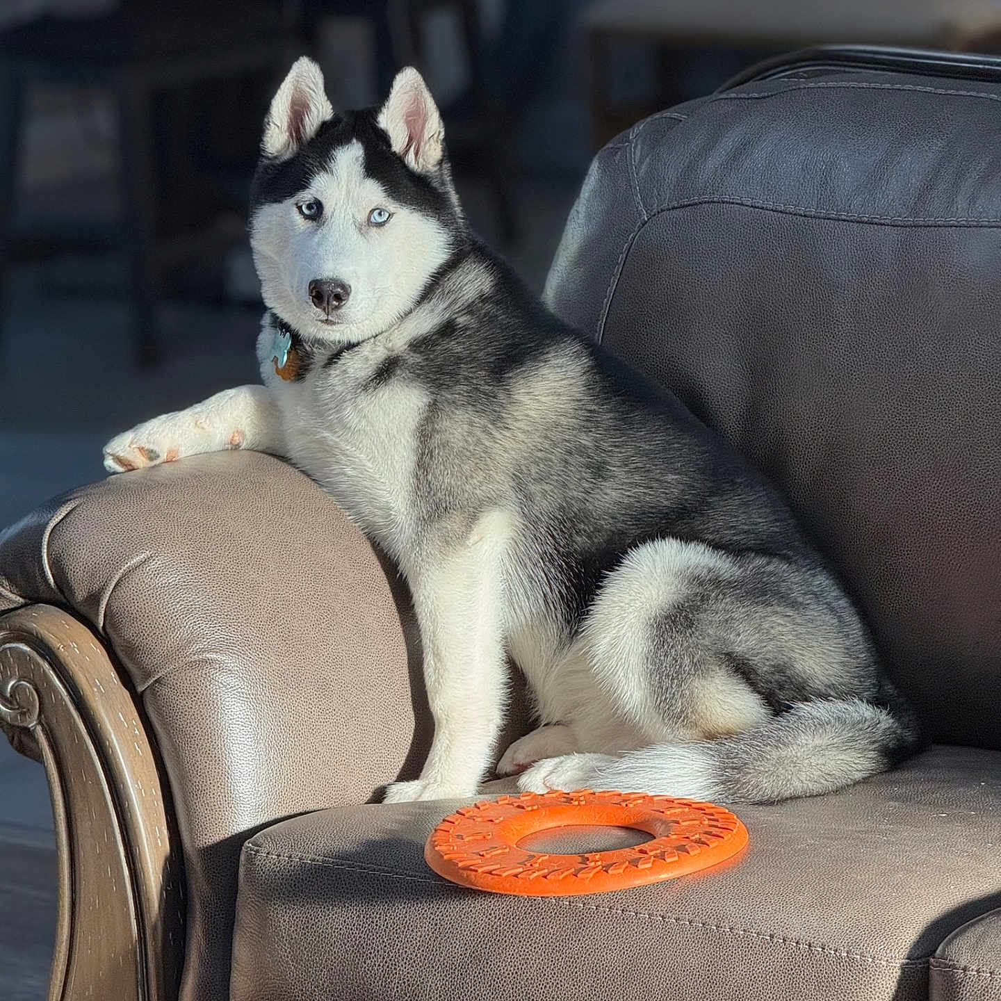 Maximillian