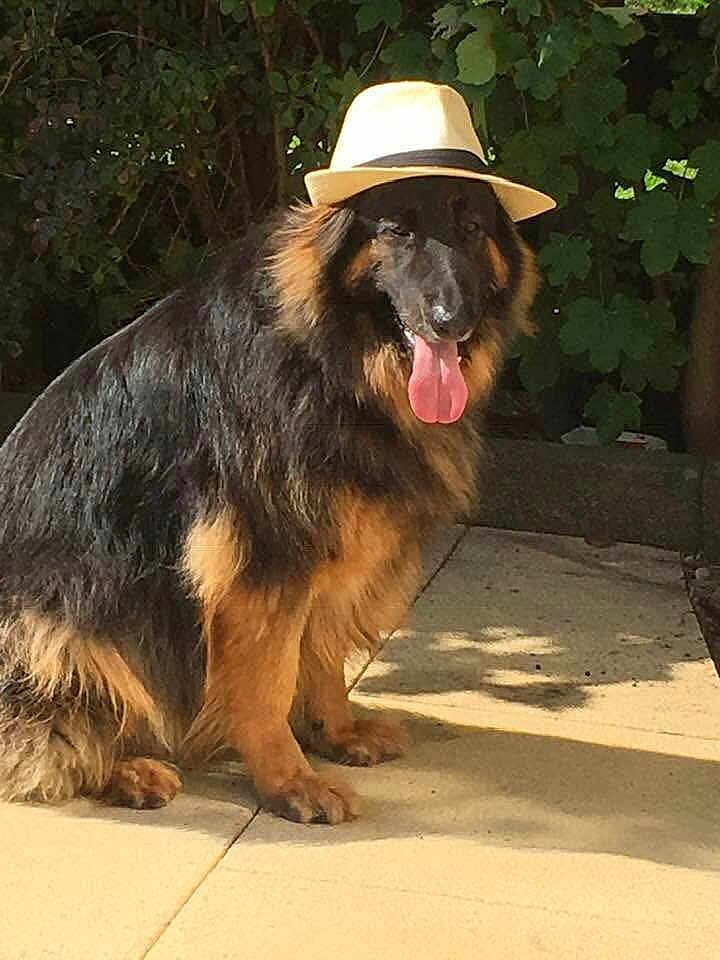 Max