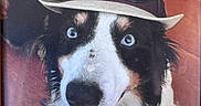 Spensa is registered to the contest to win money with this photo: accessory, animal, black_and_white, blue_eyes, canine, close_up, cute, dog, domestic_animal, face, fur, happy, hat, indoor, pet, playful, portrait, smiling, sunglasses, wooden_floor