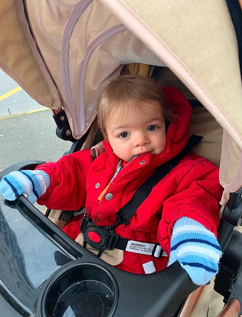 Malone a rejoint le concours — aidez-le/la à gagner de superbes lots ! auto_part, automotive_design, baby, baby_carriage, baby_products, carmine, child, comfort, fun, lap, leisure, motor_vehicle, person, product, recreation, red, sitting, steering_wheel, toddler, travel