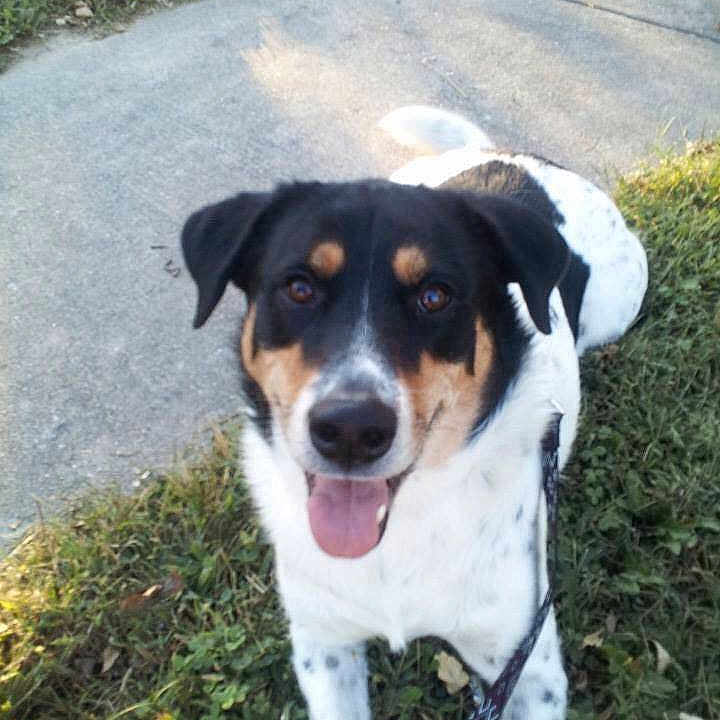 Smokey joined the competition — help win amazing prizes!