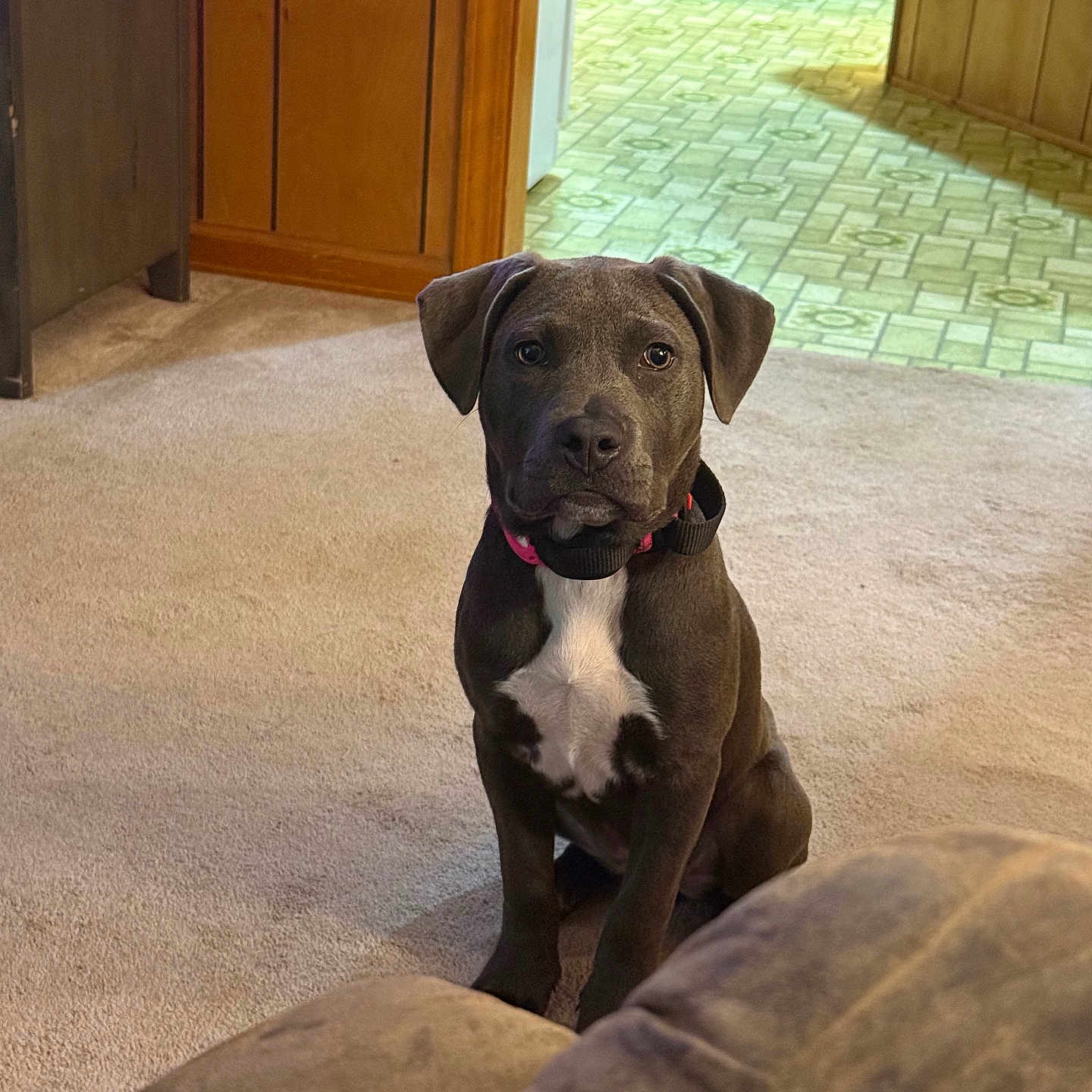 Bella