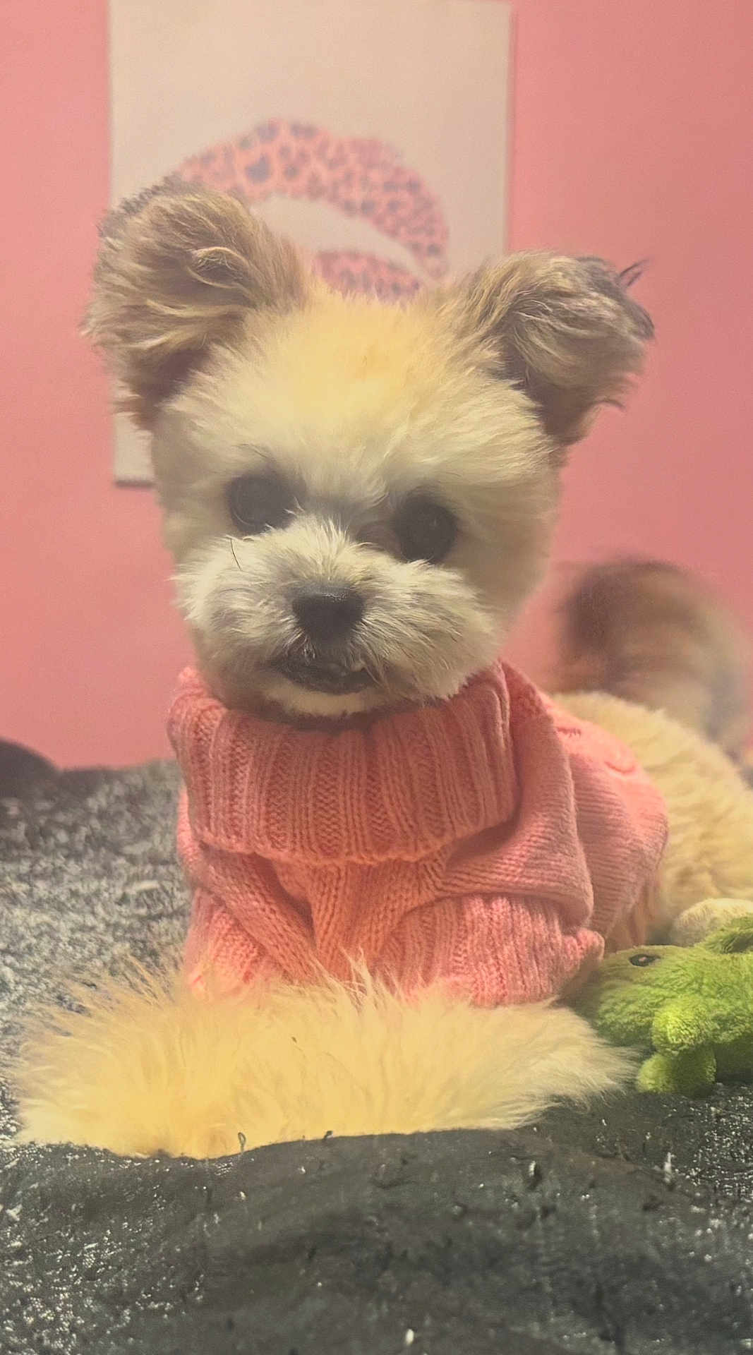 Tinky