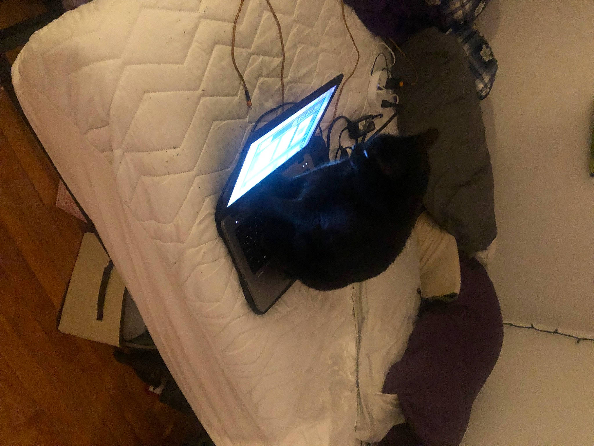 Steve is registered to the contest to win money with this photo: backpack, bag, comfort, computer, computer_hardware, display_device, electric_blue, fashion_accessory, flooring, gadget, hardwood, helmet, human_leg, leg, luggage_and_bags, netbook, personal_computer, personal_protective_equipment, television_set, wood