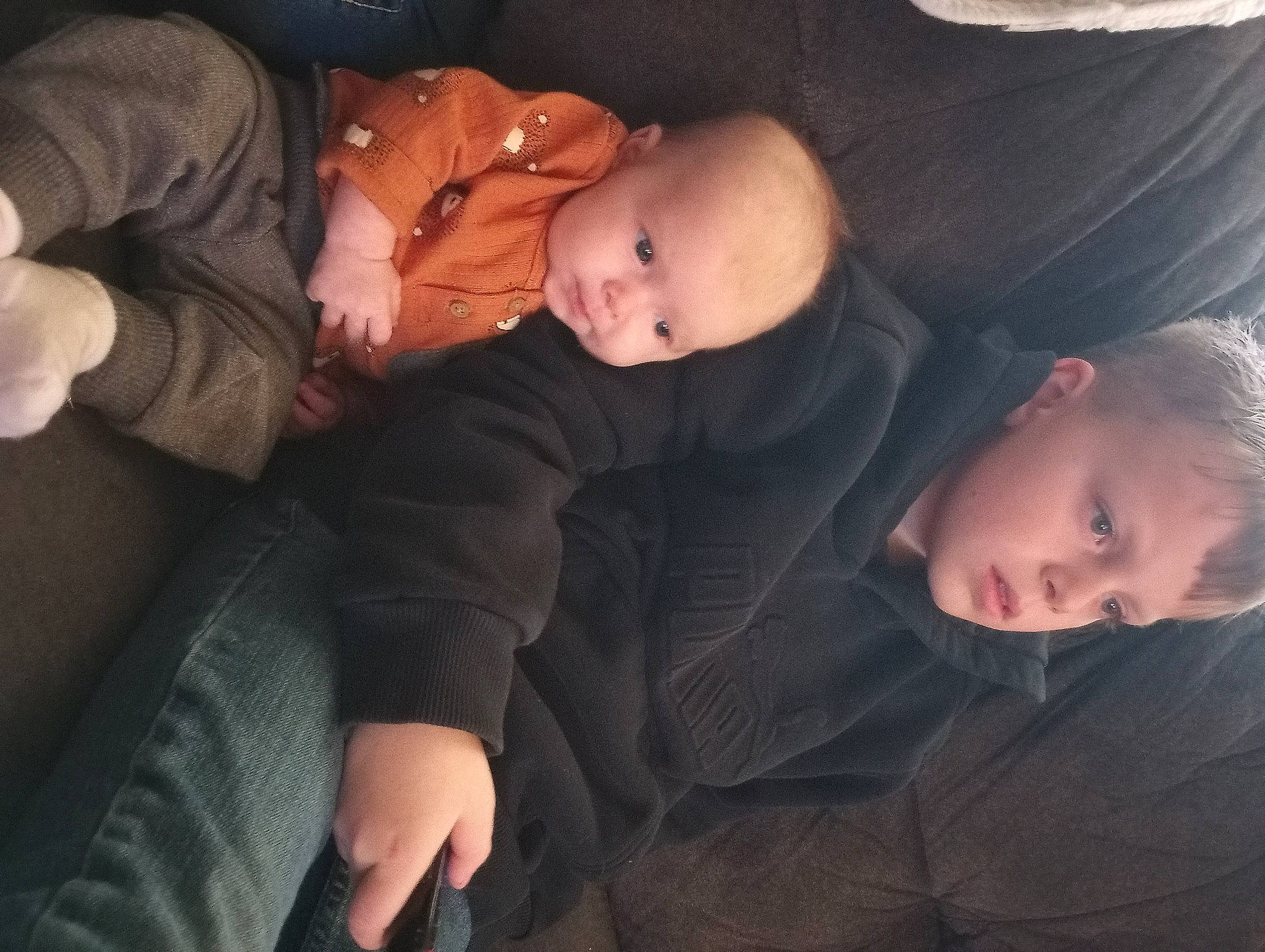 Kevin is registered to the contest to win money with this photo: arm, baby, cheek, child, comfort, elbow, eye, finger, flash_photography, gesture, hand, happy, iris, leg, mouth, nose, person, sitting, toddler, tree