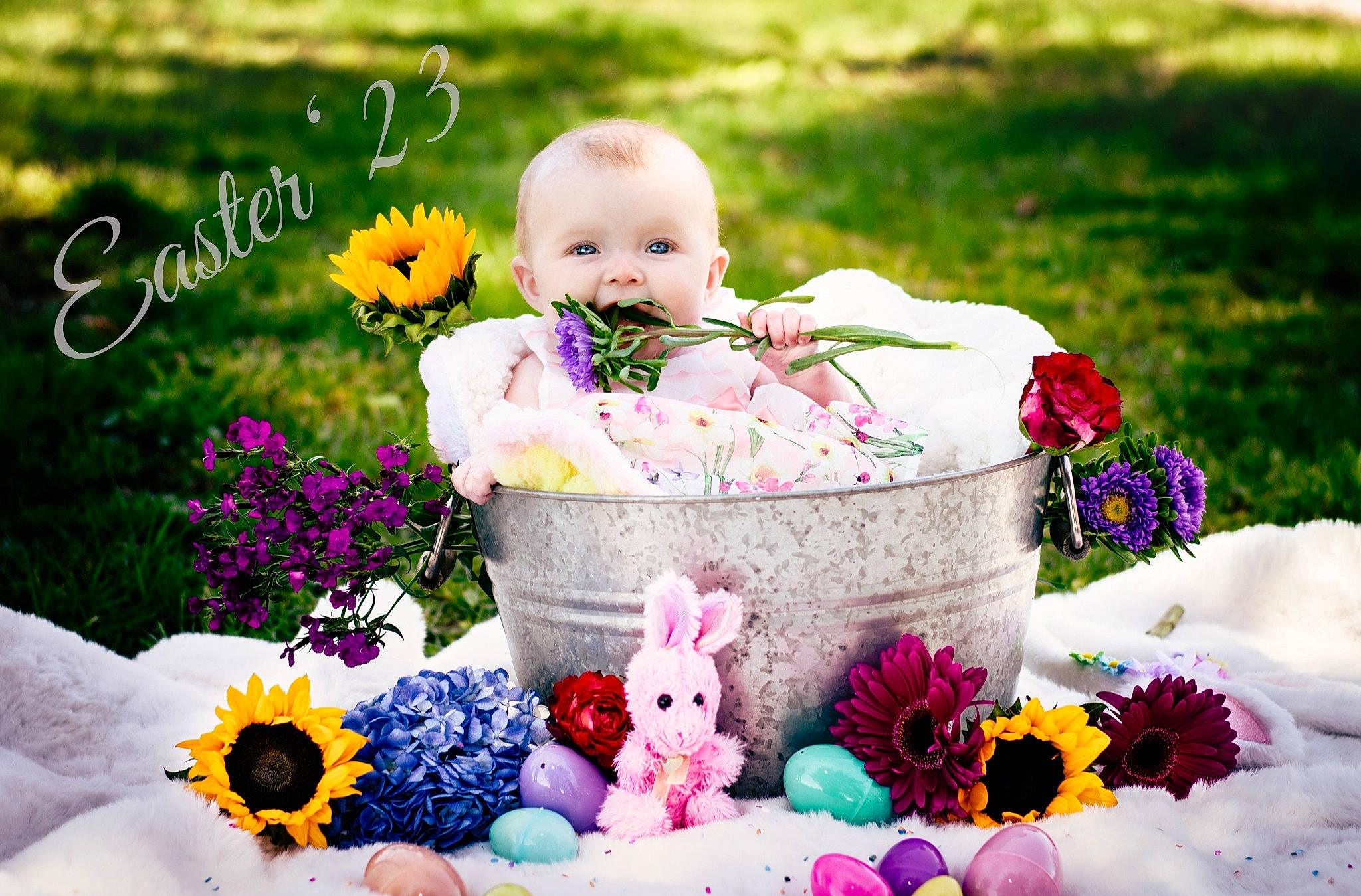 Cheryl is registered to the contest to win money with this photo: baby, baby_toddler_clothing, basket, bouquet, child, cut_flowers, event, flower, flower_arranging, font, grass, happy, people_in_nature, person, petal, photograph, pink, plant, rose, sweetness