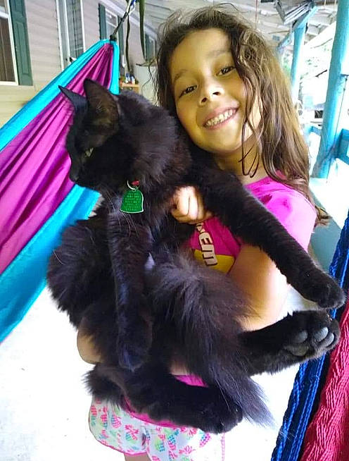 Jasmin is registered to the contest to win money with this photo: black_cat, black_hair, canidae, carnivore, cat, companion_dog, dog_breed, ear, fawn, felidae, fur, hair, joy, liver, long_hair, person, small_to_medium_sized_cats