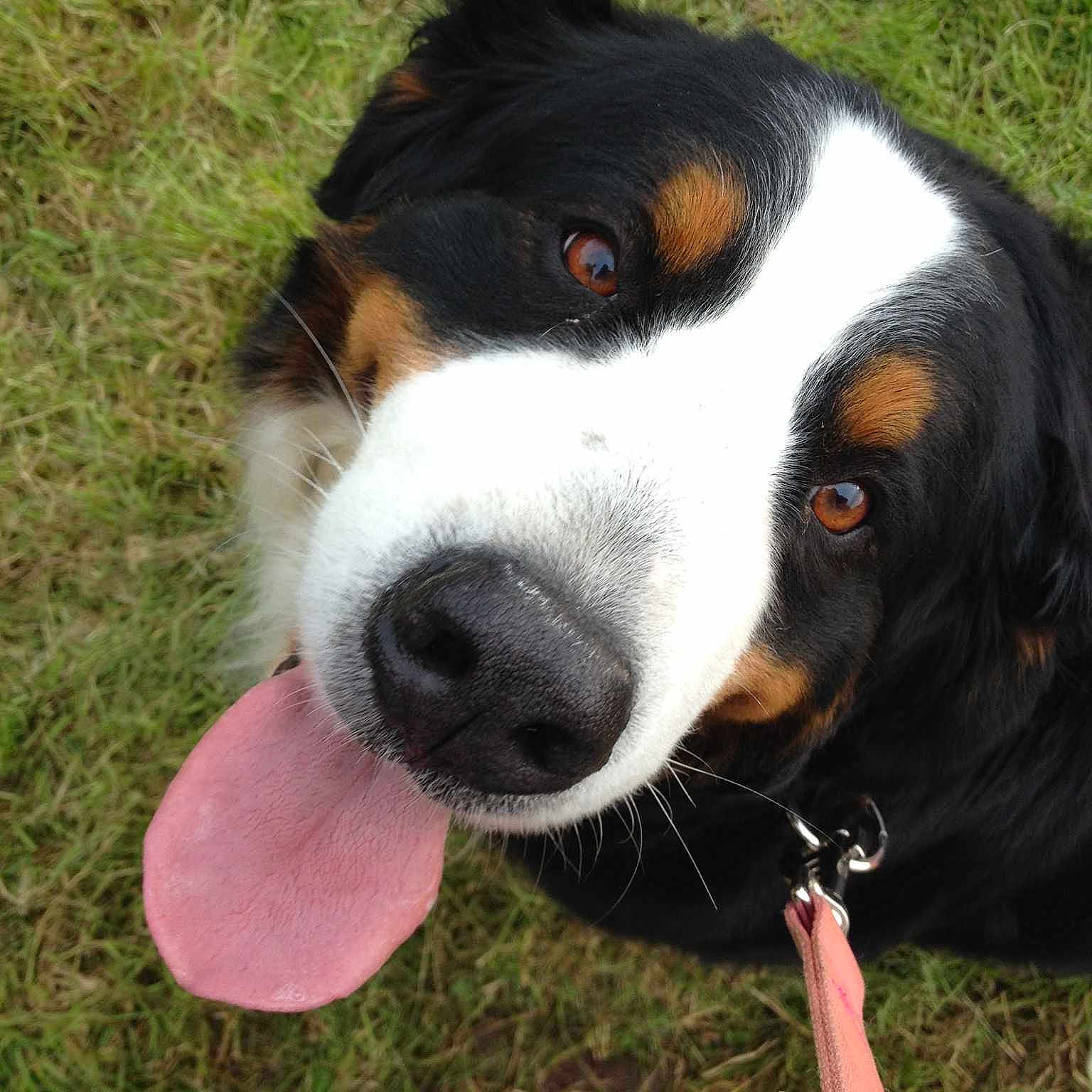 Miss Heidi joined the competition — help win amazing prizes!