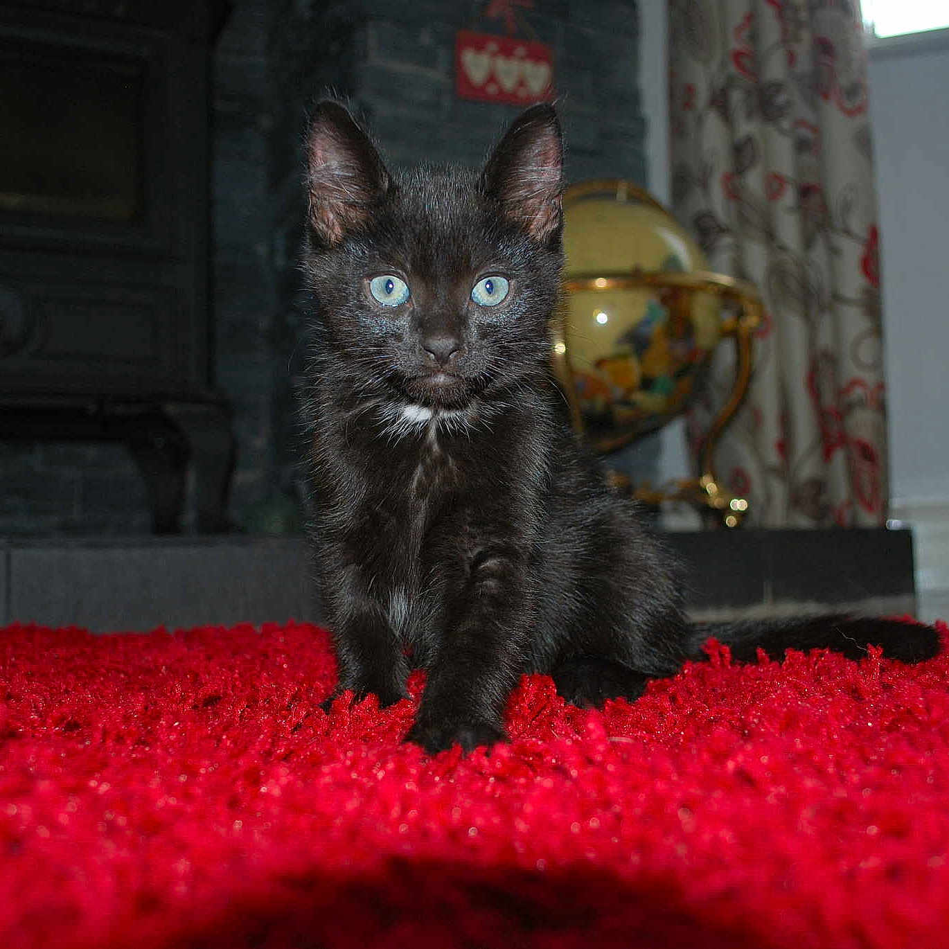 Jasper