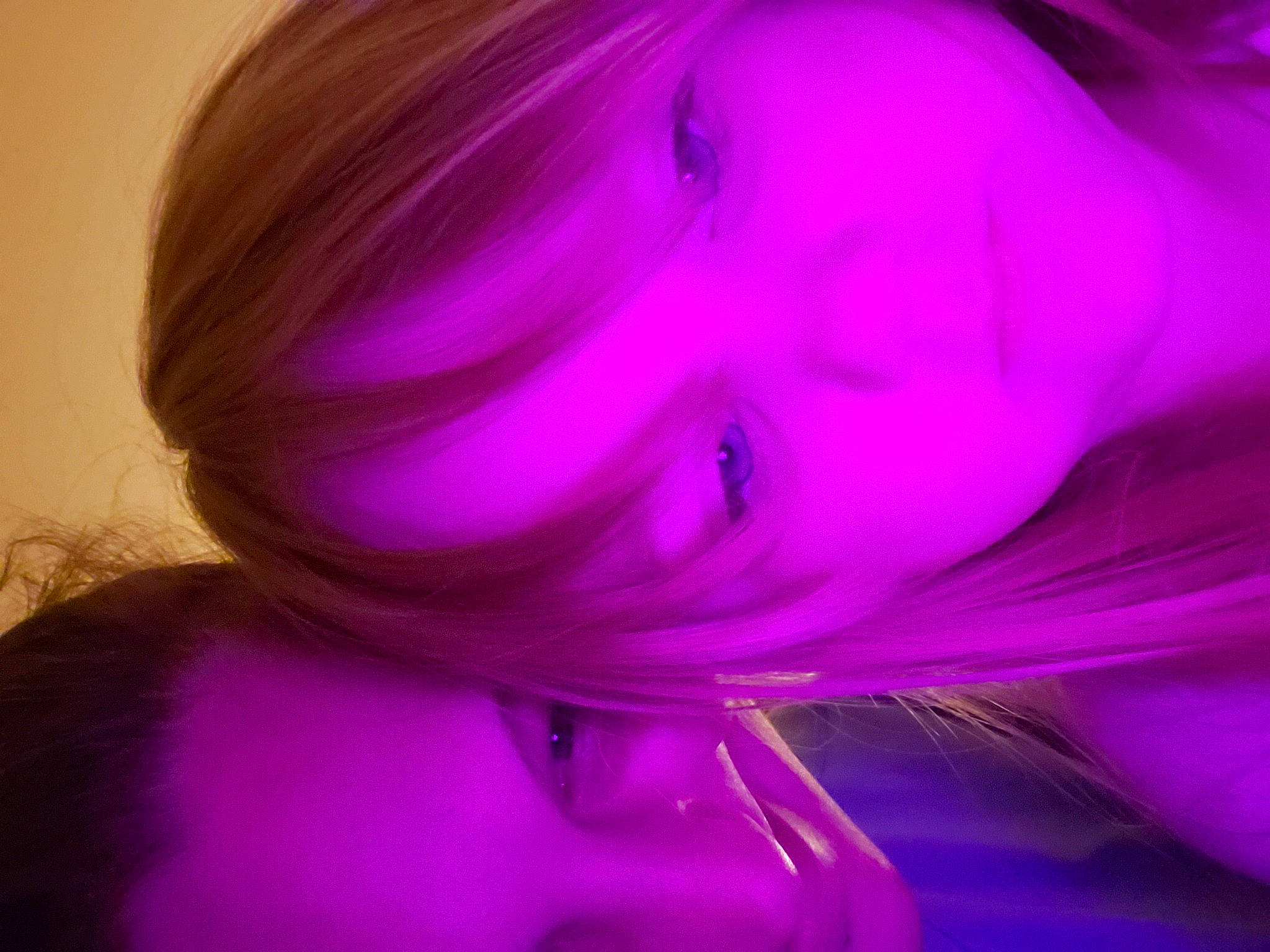 Kaleighanne joined the competition — help win amazing prizes! bangs, black_hair, cg_artwork, close_up, electric_blue, eyelash, hair, head, layered_hair, lip, long_hair, magenta, neck, petal, pink, plant, purple, step_cutting, violet, wig