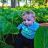 baby, child, blue_shirt, forest, green_leaves, nature, outdoor, person, plants, trees, sunlight, young_child, sitting, curious, hand, casual_clothing, daylight, leafy, exploring, cute