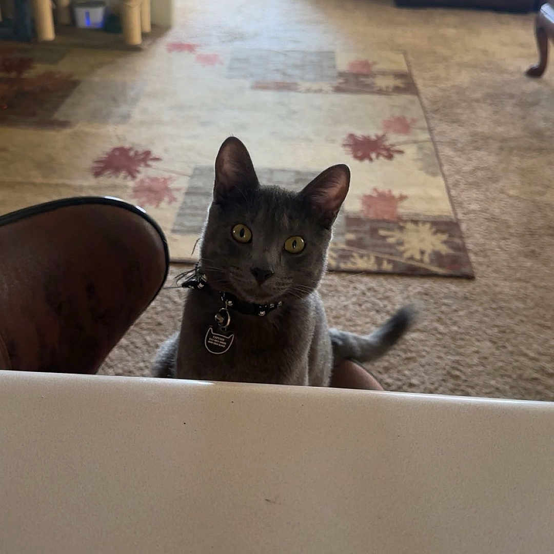 Tom