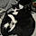 Izzy And Vader Binx