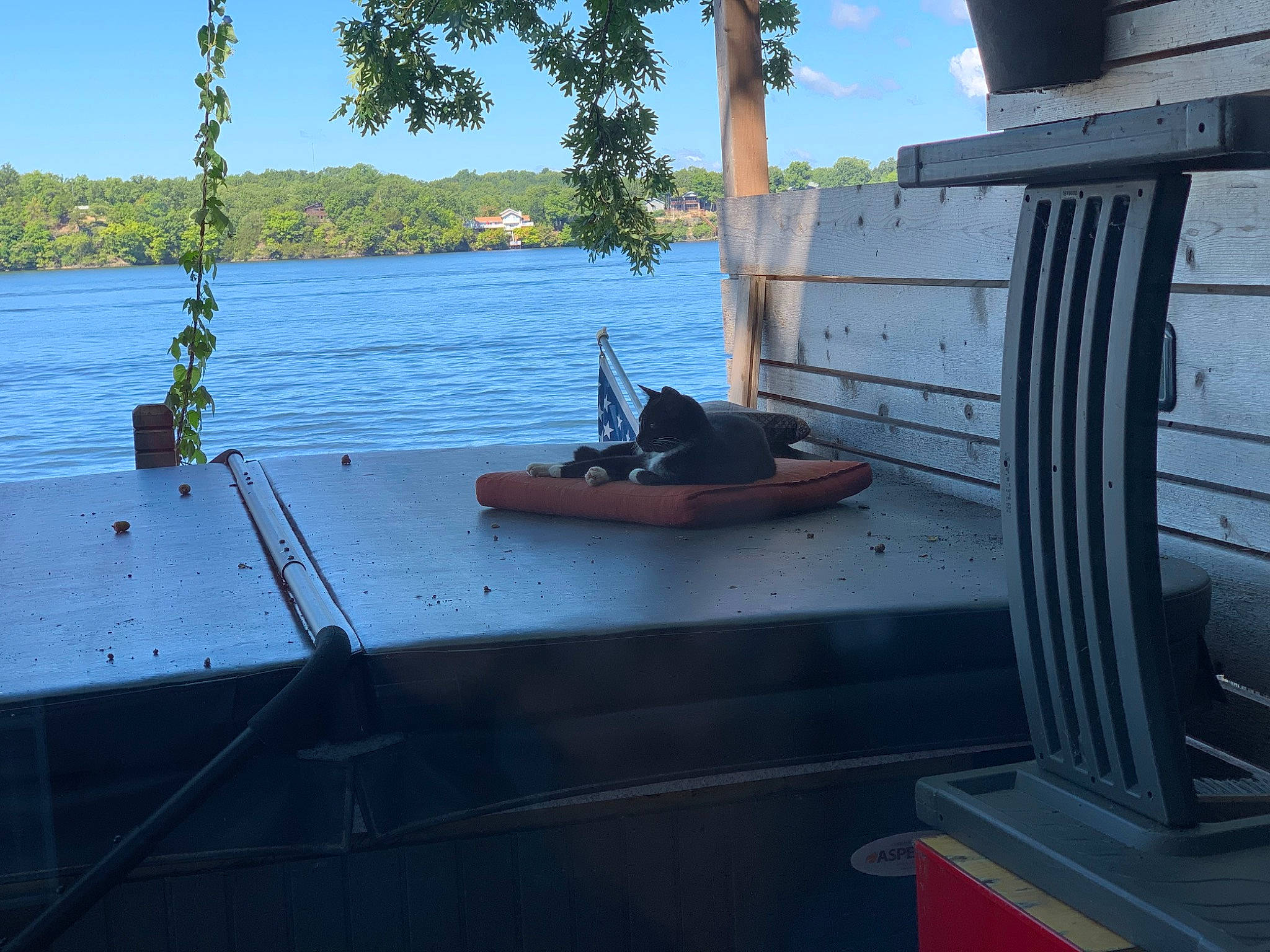 Primrose joined the competition — help win amazing prizes! automotive_tire, boat, boats_and_boating_equipment_and_supplies, channel, lake, landscape, leisure, naval_architecture, plant, recreation, shade, ship, sky, travel, tree, vehicle, water, water_transportation, watercraft, wood