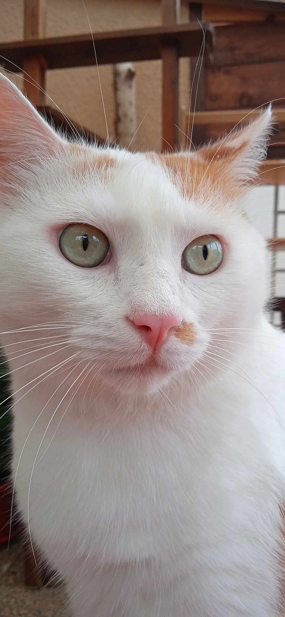 Gary