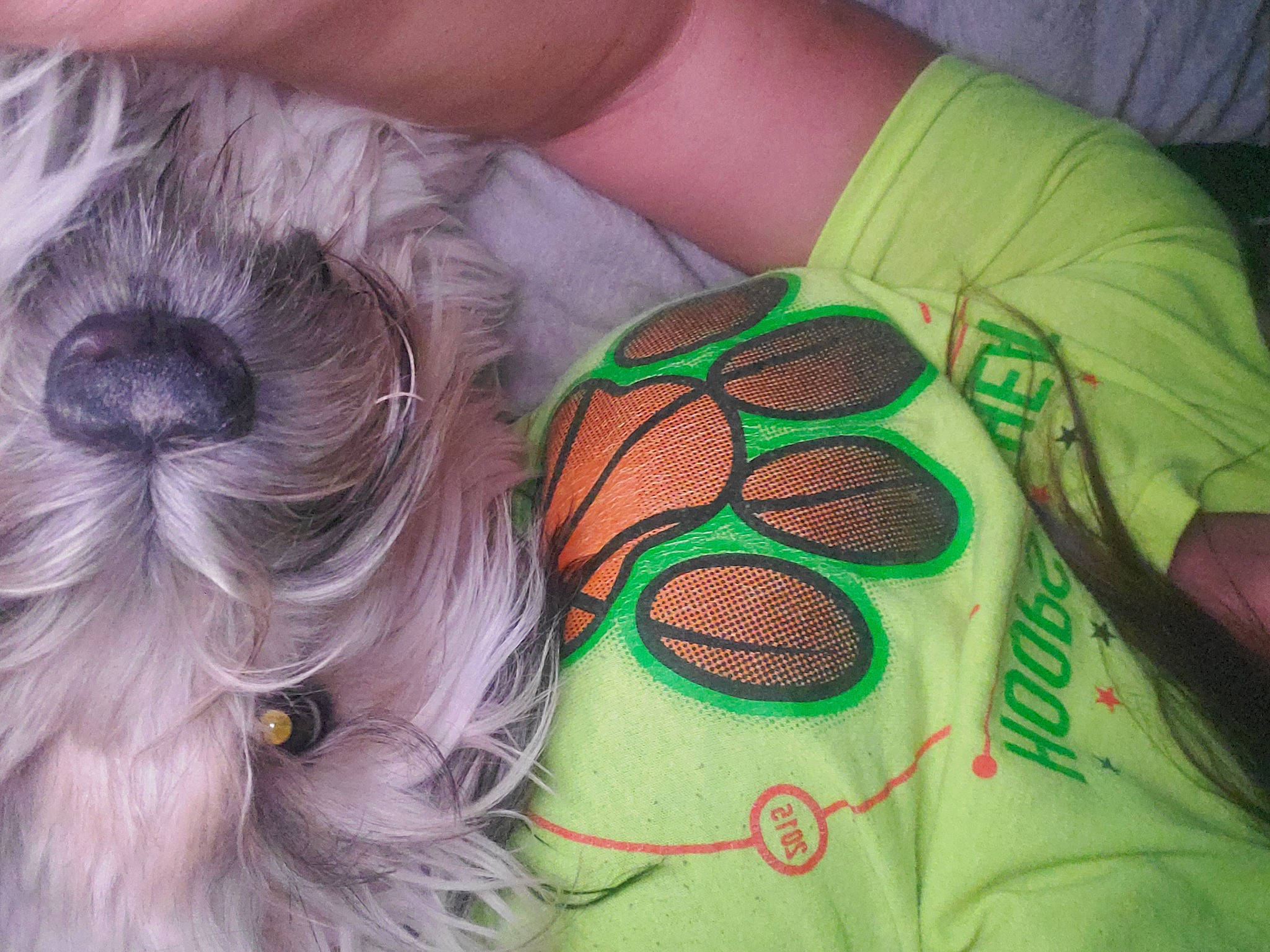 Riley joined the competition — help win amazing prizes! carnivore, companion_dog, dog, dog_breed, elbow, eyewear, fashion_accessory, fawn, fur, hairstyle, human_leg, liver, personal_protective_equipment, sleeve, sportswear, textile, toy_dog, wool, working_animal, wrist