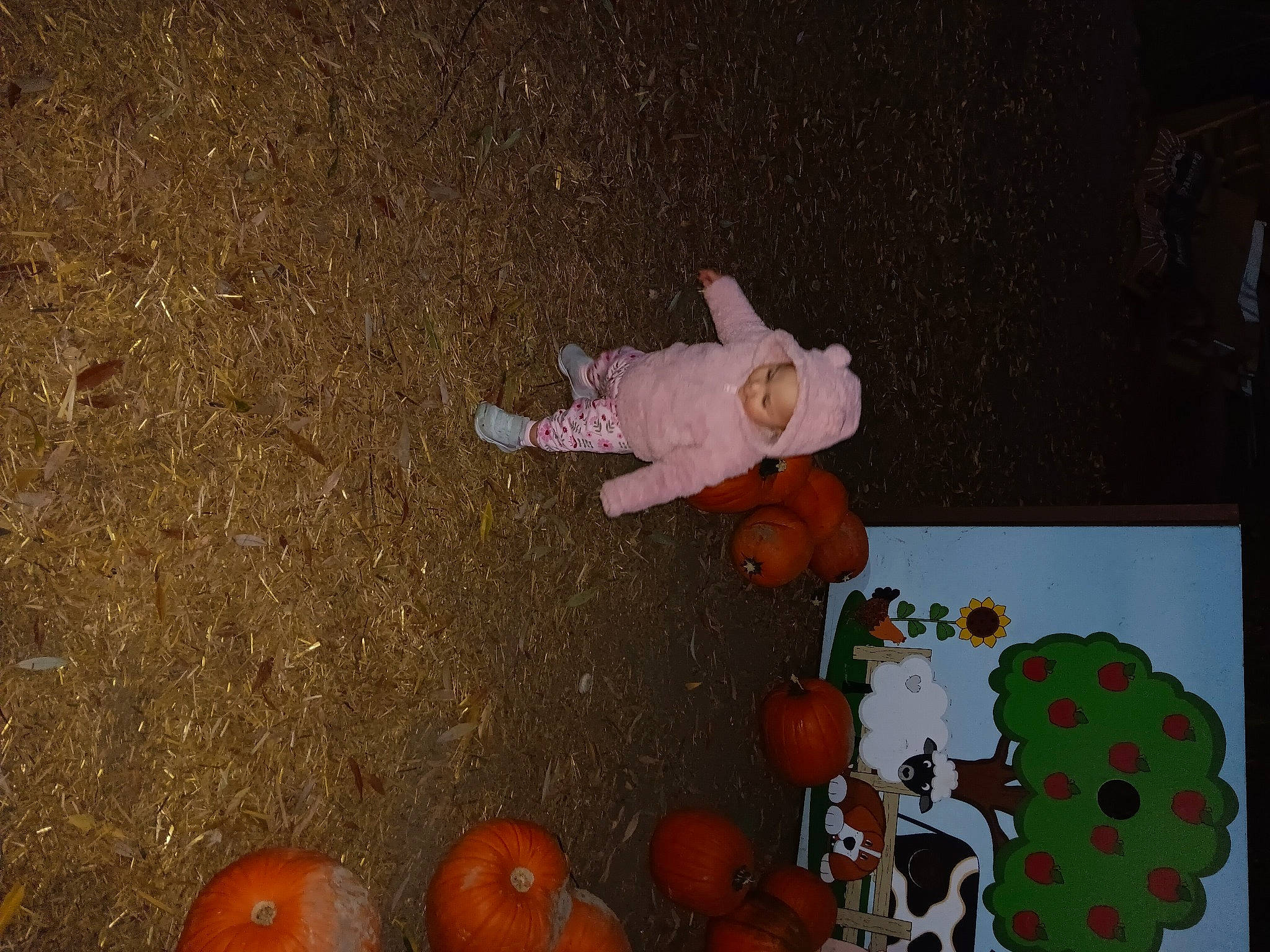 Kalei is registered to the contest to win money with this photo: _and_melon_family, _gourd, art, calabaza, cucumber, cucurbita, flooring, fruit, gourd, local_food, natural_foods, pattern, person, produce, pumpkin, squash, still_life, still_life_photography, toy, vegetable