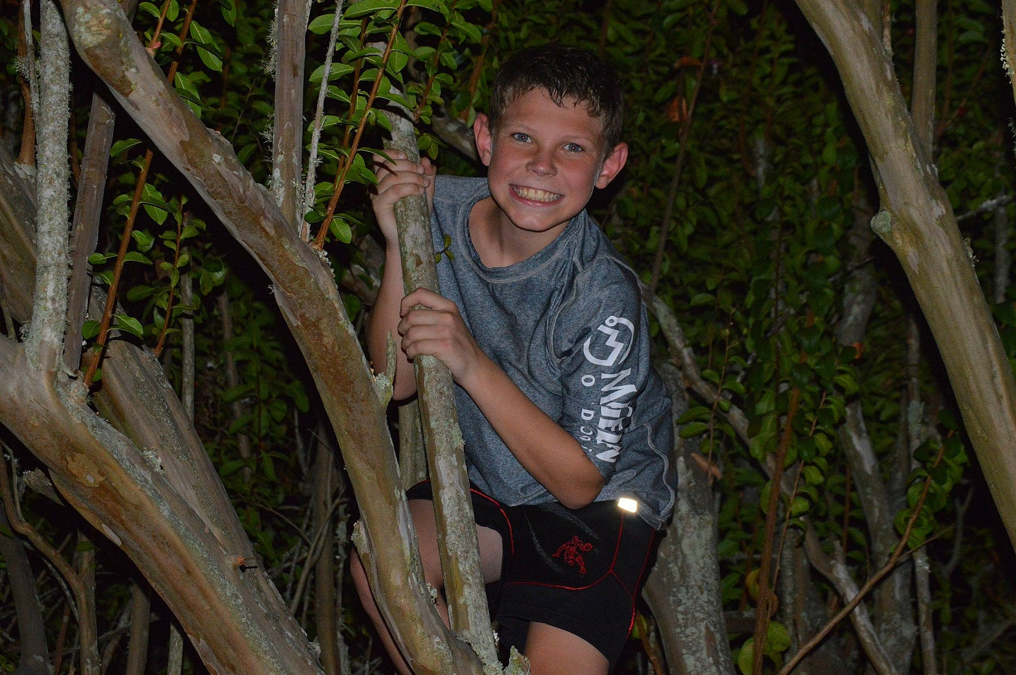 Kaydon is registered to the contest to win money with this photo: forest, joy, jungle, person, plant, tree