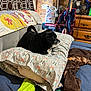 dog, black_dog, pillow, blanket, bed, green_sock, phone, fan, box, furniture, room, indoor, cozy, sleeping, resting, clutter, wooden_drawer, fabric, patterned_pillow, animal