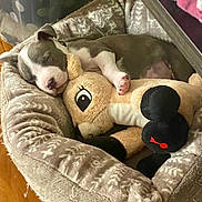 Echo joined the competition — help win amazing prizes! puppy, sleeping, dog, pet_bed, stuffed_animal, plush_toy, cozy, cute, animal, young_dog, resting, indoors, soft_texture, snuggling, adorable, brown, white, pink_paw, peaceful, comfort