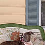 animal, brindle, cushion, dog, domestic_animal, ears, floral_pillow, fur, furniture, home, muzzle, outdoor, pet, porch, relaxed, resting, seat, side_view, wicker_bench, window