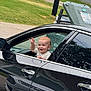 Leon is registered to the contest to win money with this photo: toddler, child, car, black_car, waving, rain, wet_surface, window, backseat, smiling, outdoor, grass, mailbox, trash_bin, suburban, road, reflection, raindrops, happy, person