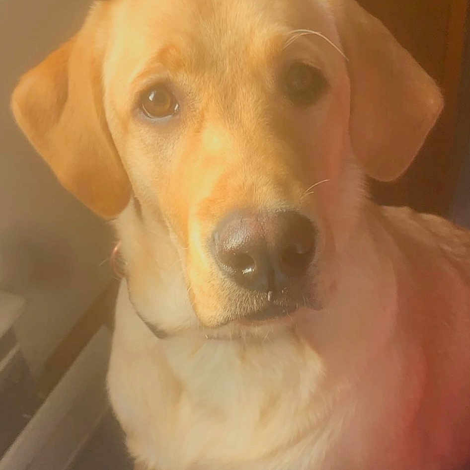 Maggie