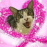 animal, cat, close_up, digital_effect, ears, fantasy, feline, funny, glitter, gray_fur, open_mouth, pet, pink_background, portrait, sparkles, surprised, tabby, whiskers, white_fur, wide_eyes