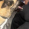 Buddy is registered to the contest to win money with this photo: animal, black_clothing, brown_dog, canine, casual, collar, dog, floor, happy, home, human, indoor, interaction, looking_up, person, pet, plate, side_view, waiting, wooden_floor