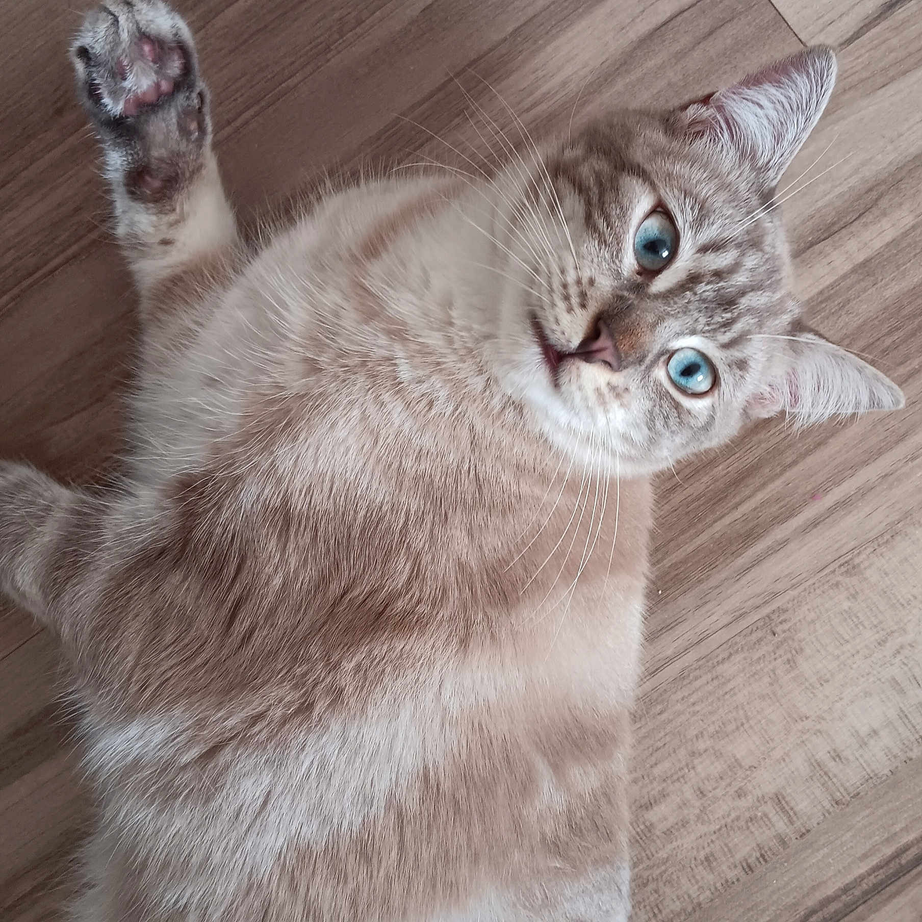 Oscar