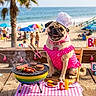 barbecue, beach, burger, chair, chef_hat, dog, food, grill, hot_dog, ocean, people, picnic, pink_dress, pug, sign, string_lights, summer, table, umbrella, wooden_fence