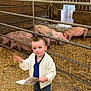 Ayden participe au concours pour gagner de l'argent avec cette photo : animal, barn, boy, casual, child, clothing, curious, daylight, farm, fence, hay, indoor, metal, muddy, paper, pig, shoes, shorts, standing, wood