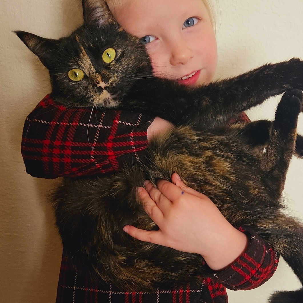 Minnie Mouse joined the competition — help win amazing prizes! accessories, animal, bodypart, canine, cat, clothing, dog, face, finger, hair, hand, head, kitten, manx, pants, person, pet, photography, portrait, tartan