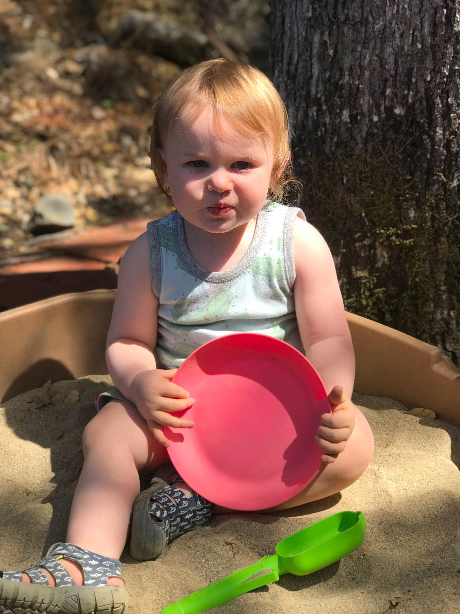 Derek joined the competition — help win amazing prizes! beauty, child, fun, grass, happy, leisure, people_in_nature, person, public_space, recreation, shorts, sitting, sneakers, summer, sunlight, t_shirt, thigh, toddler, tree, vertebrate