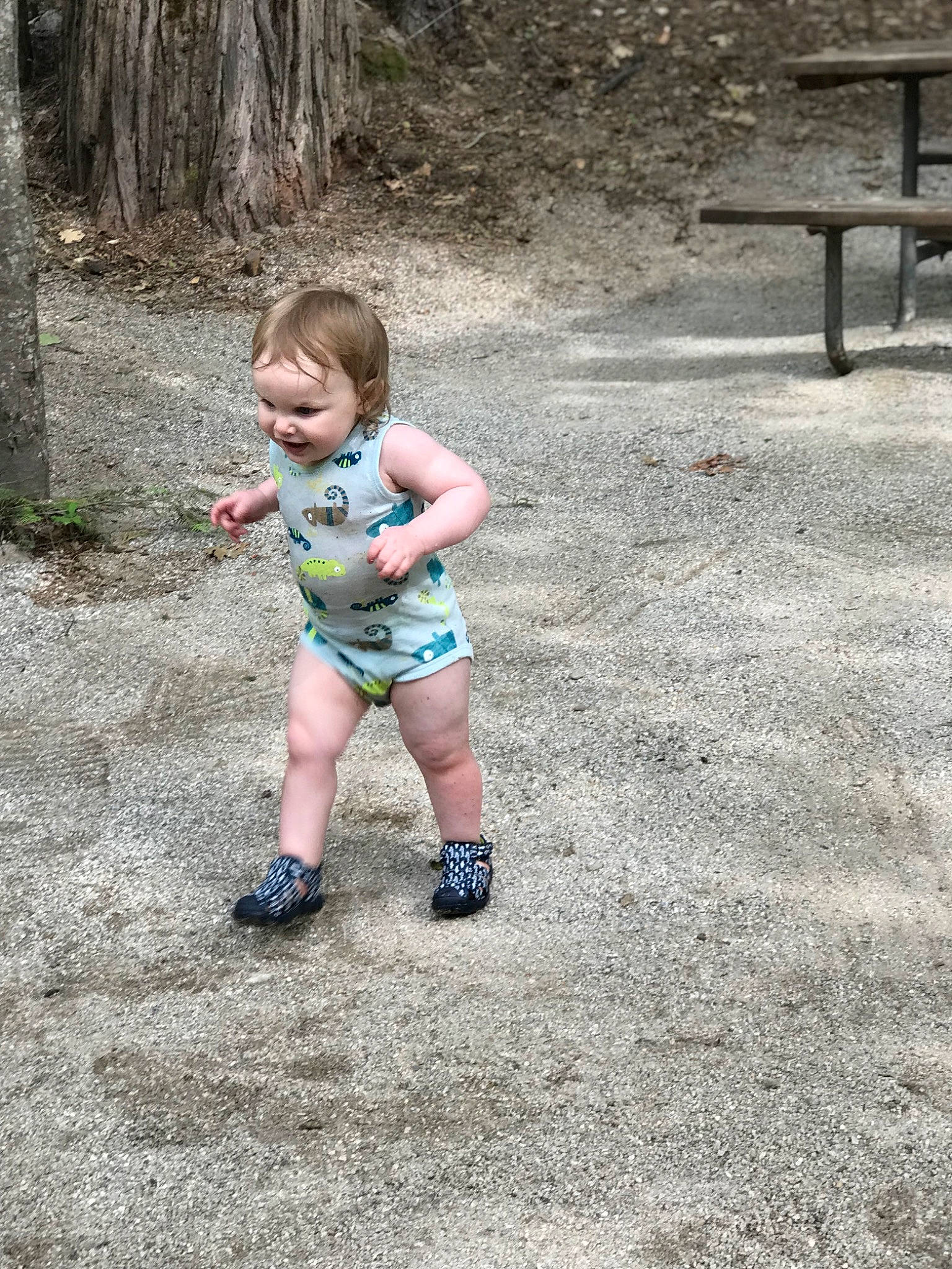 Derek is registered to the contest to win money with this photo: arm, asphalt, baby, fun, grass, human_leg, joy, landscape, leaf, leisure, outdoor_bench, people_in_nature, person, plant, recreation, road_surface, sand, shorts, soil, toddler
