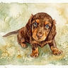 watercolor, painting, puppy, dog, brown, cute, art, illustration, animal, portrait, sitting, eyes, fur, background, soft_colors, texture, adorable, expression, artistic, canine