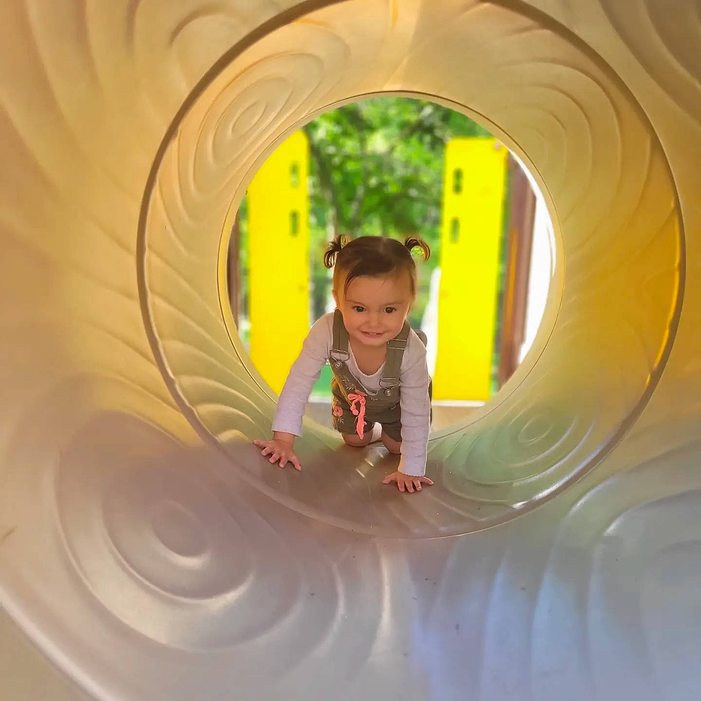 Magnolia is registered to the contest to win money with this photo: child, chute, circle, eye, flash_photography, fun, happy, head, human_body, joy, leisure, organ, outdoor_play_equipment, people_in_nature, person, plant, playground, recreation, smile, symmetry