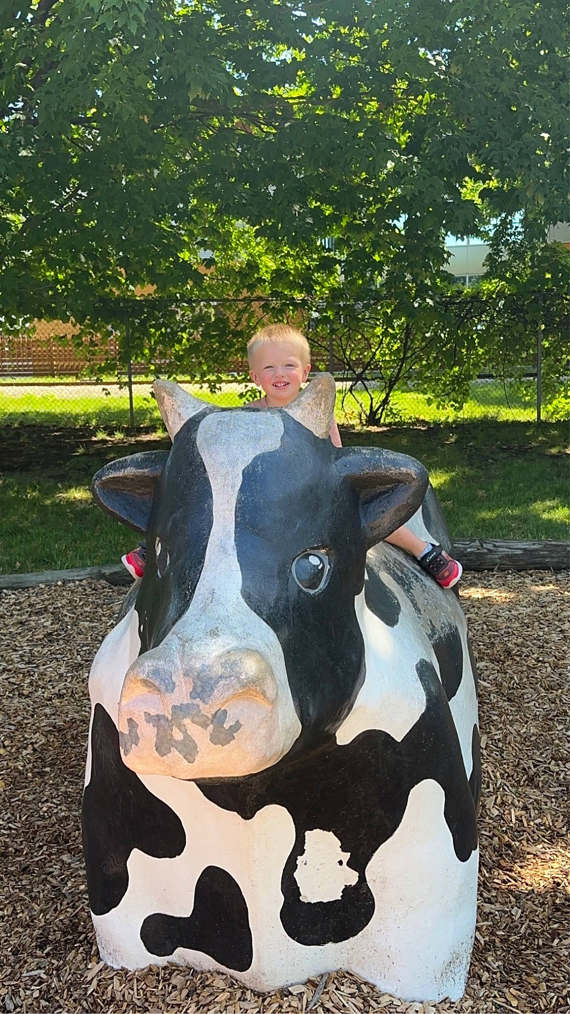 Grayson joined the competition — help win amazing prizes! art, automotive_design, automotive_exterior, automotive_lighting, bovine, cow_goat_family, dairy_cow, fawn, grass, hood, joy, landscape, livestock, person, personal_protective_equipment, plant, sculpture, snout, statue, terrestrial_animal