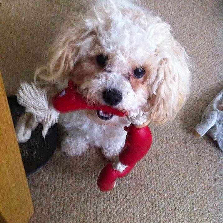 Holly is registered to the contest to win money with this photo: